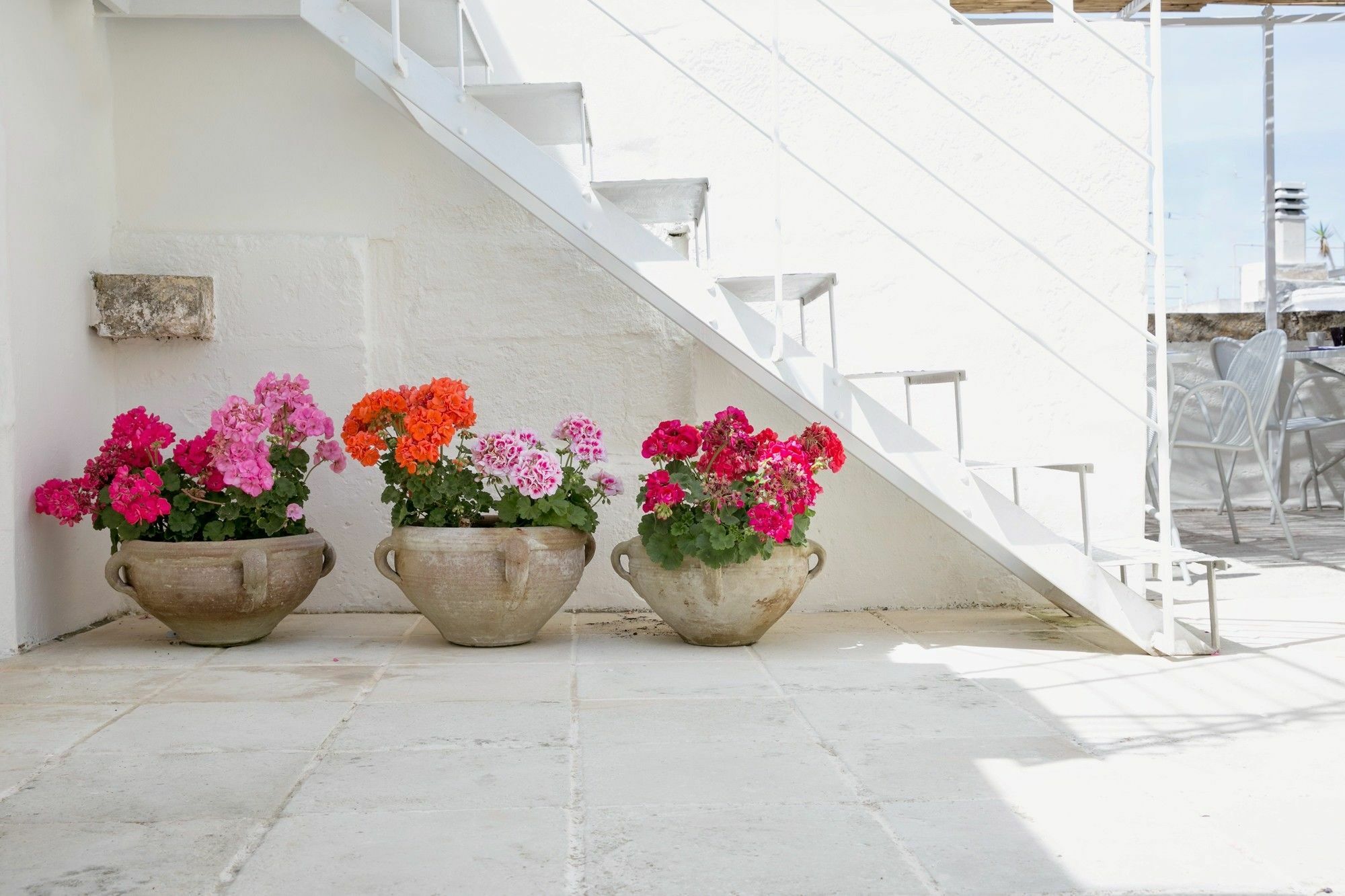 Domus Dejana Bed & Breakfast Gallipoli Exterior foto